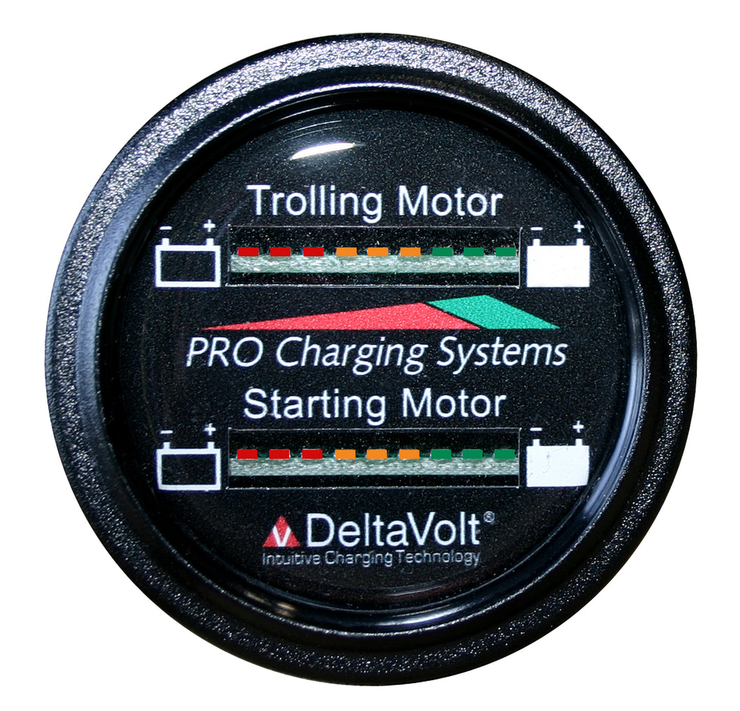 Dual Pro Battery Fuel Gauge For 1 - 24v, 1 -12v  Systems