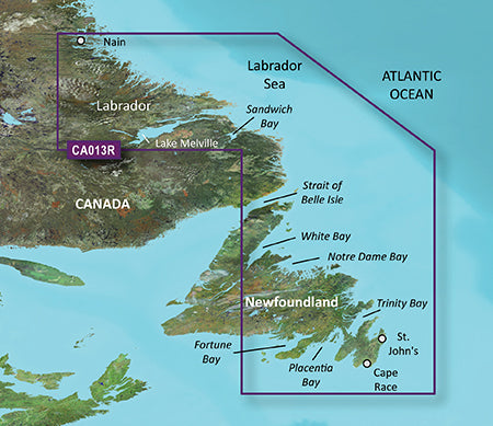 Garmin Vca013r G3 Vision Labrador Coast