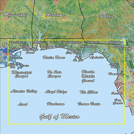 Garmin Gulf Coast Standard Mapping Premium